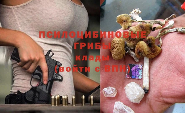 наркотики Гусь-Хрустальный