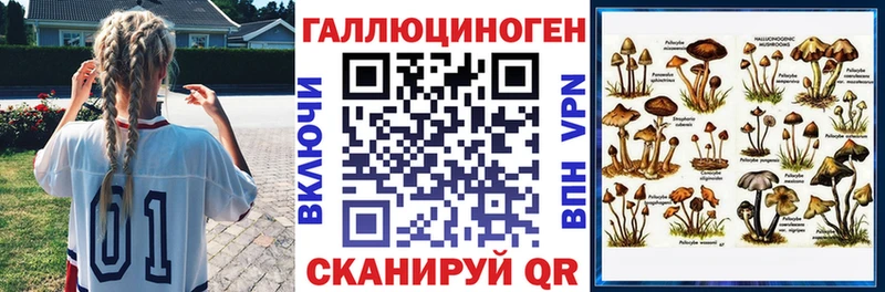 Псилоцибиновые грибы Psilocybe  Пересвет 
